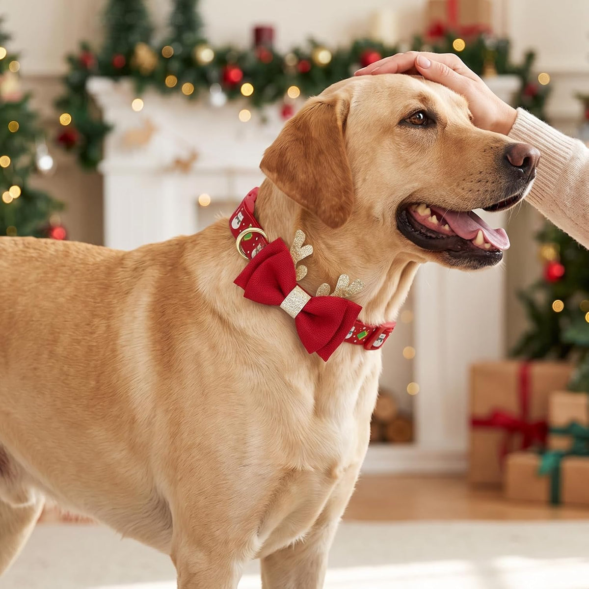 Christmas Dog Collar Adjustable Xmas Dog Collars with Christmas Antler Bow Tie Accessories Snowman Dog Collar for Medium Dogs