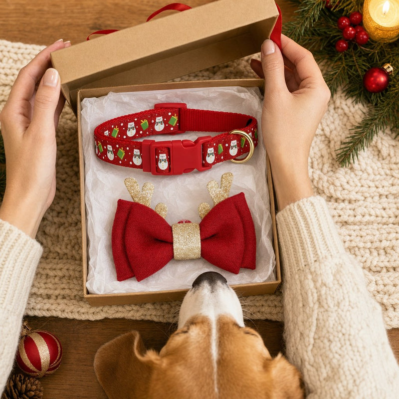 Abre su regalo