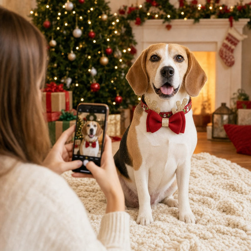 Haz la foto del año